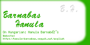 barnabas hanula business card